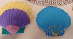 Galerie photo Coquillages